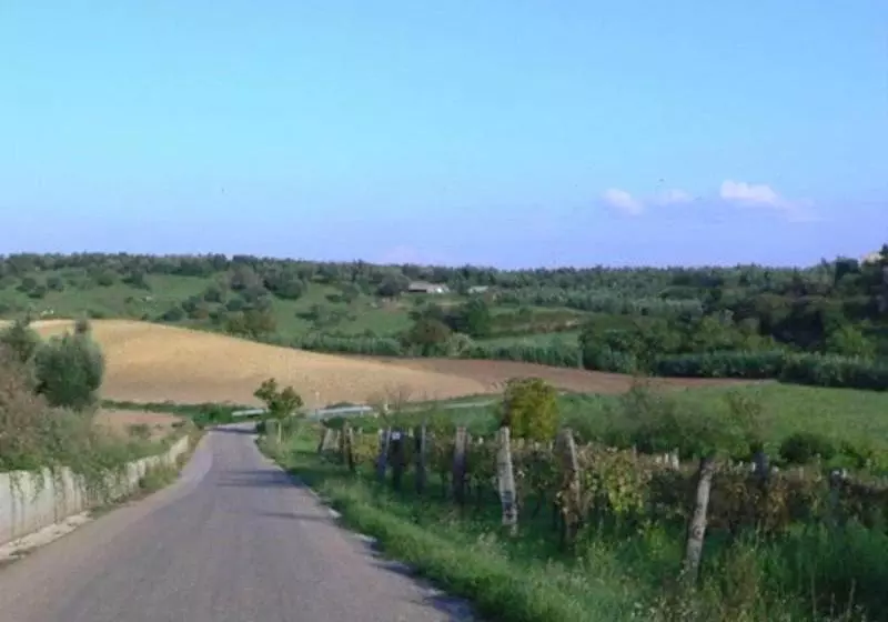 هتل L'oliveto Dei Prischi