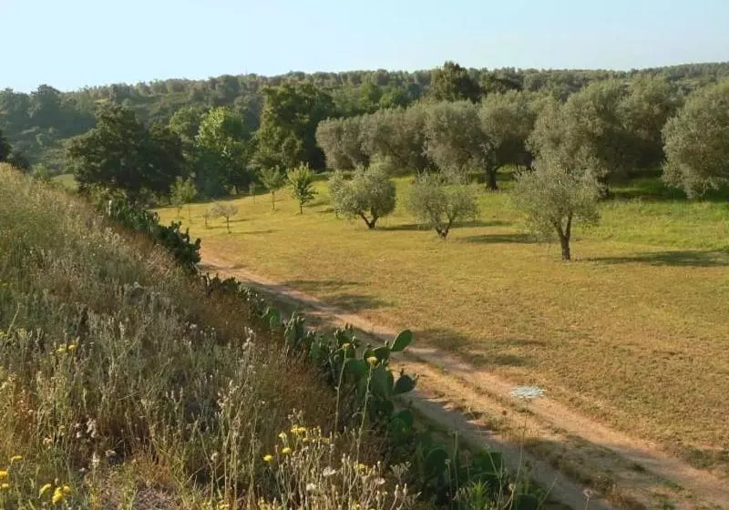 هتل L'oliveto Dei Prischi