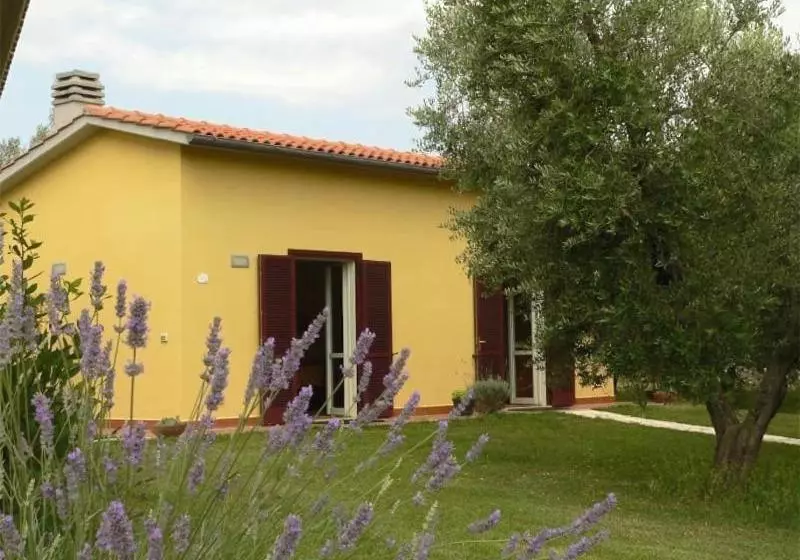 هتل L'oliveto Dei Prischi