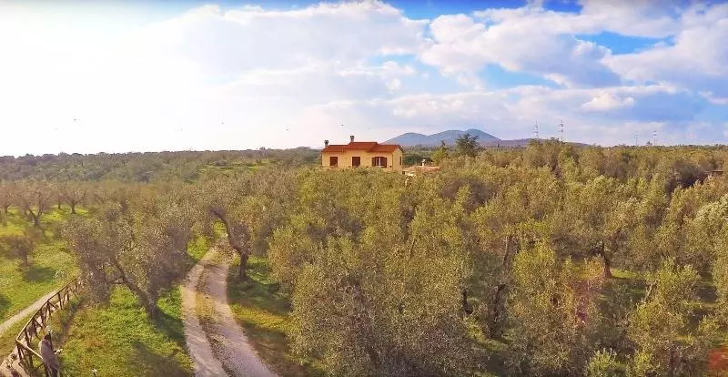 هتل L'oliveto Dei Prischi
