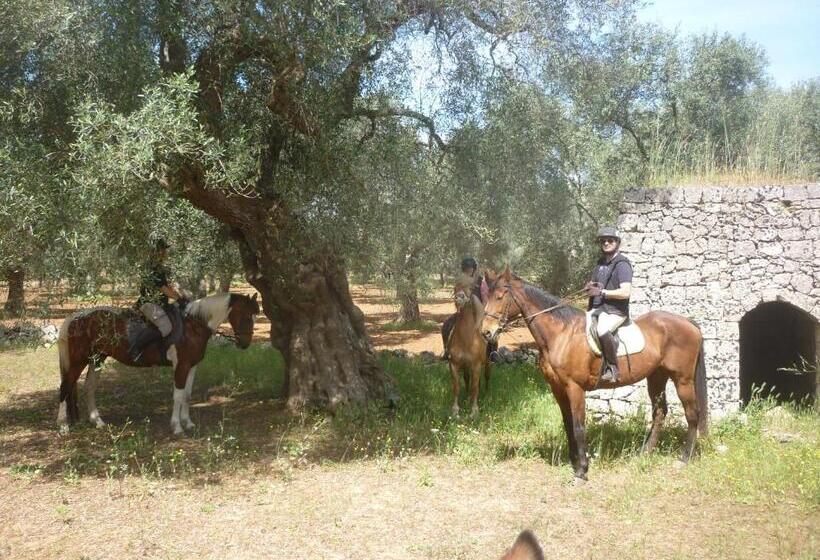 בית מלון כפרי Masseria Li Campi