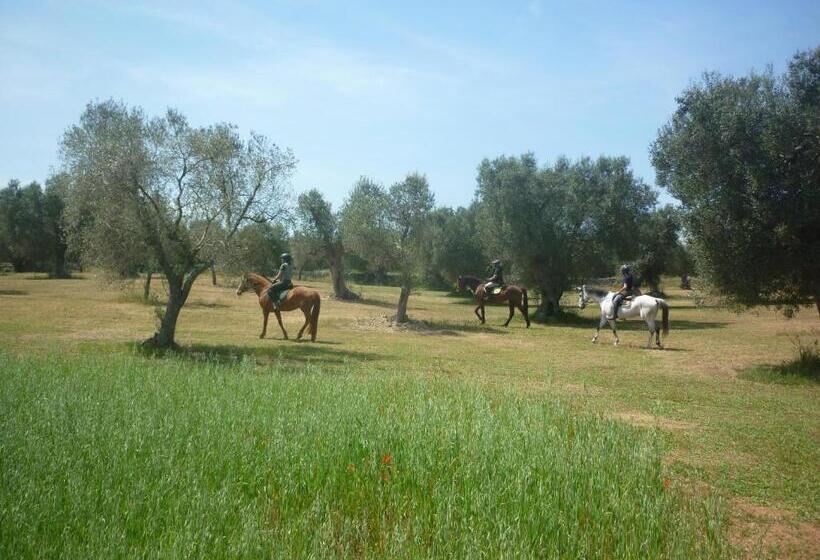 בית מלון כפרי Masseria Li Campi
