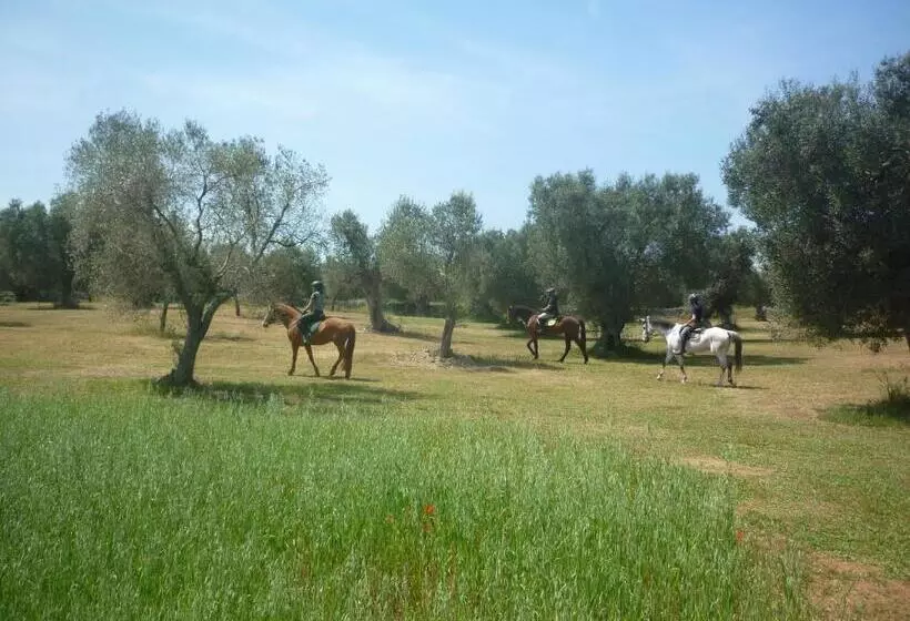 ホテル Masseria Li Campi