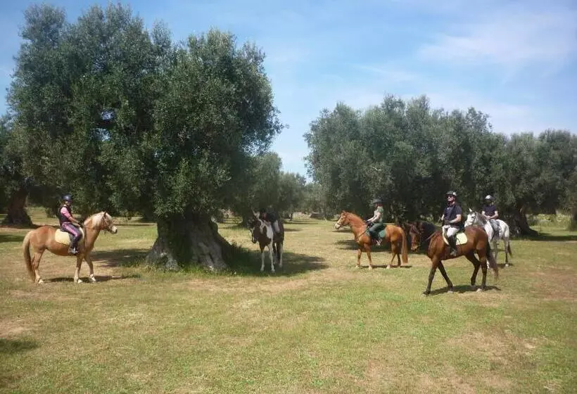 ホテル Masseria Li Campi
