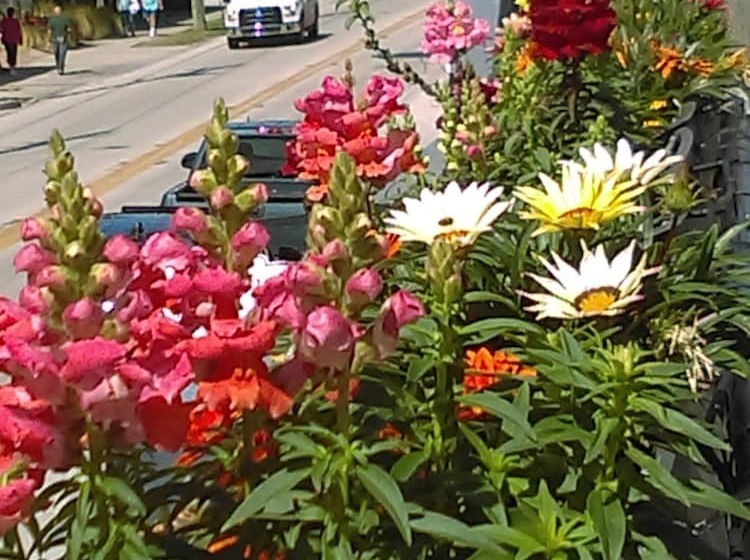 فندق The Loft At Menorcan Square