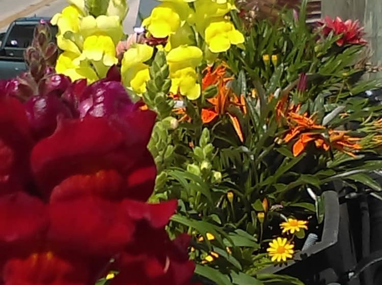 فندق The Loft At Menorcan Square