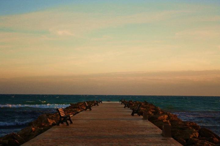 تختخواب و صبحانه Il Terrazzo Dei Templi