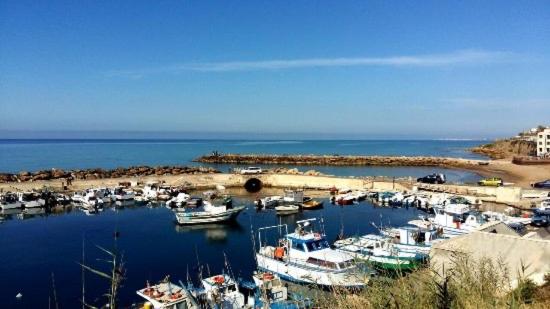 تختخواب و صبحانه Il Terrazzo Dei Templi