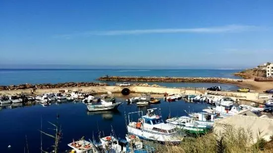 ベッドアンドブレックファースト Il Terrazzo Dei Templi