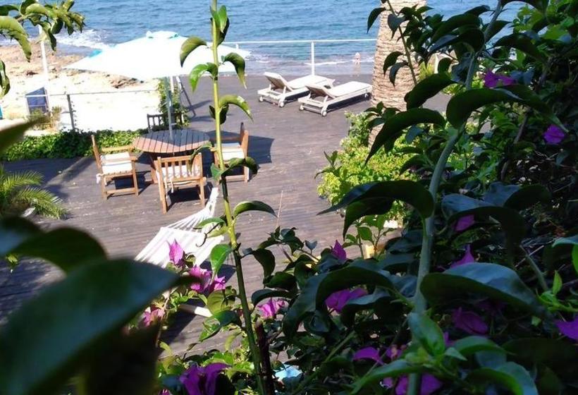 Bed & Breakfast On The Beach Denia