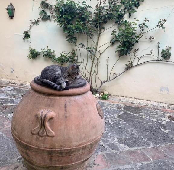 ホテル Agriturismo Fattoria Il Piano Casa Bugno San Gimignano