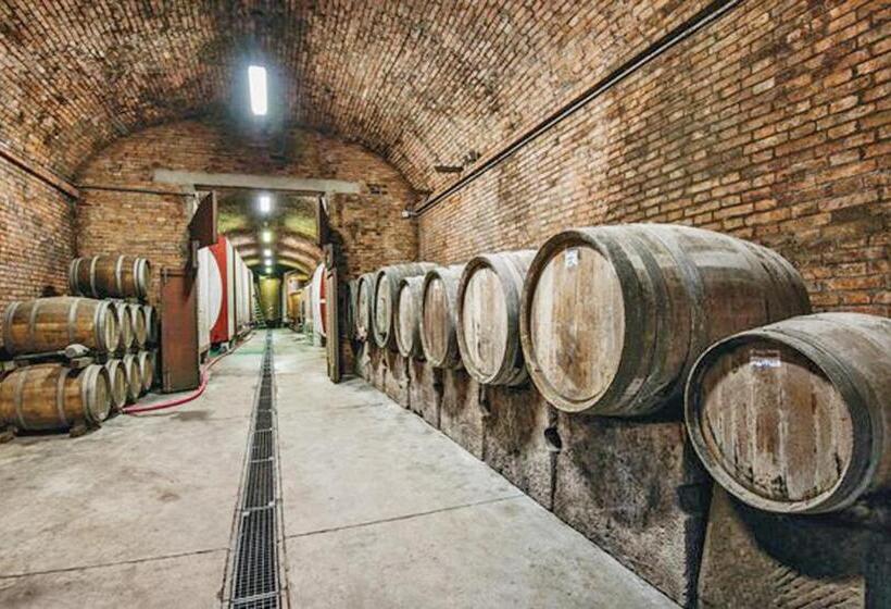 ホテル Agriturismo Fattoria Il Piano Casa Bugno San Gimignano