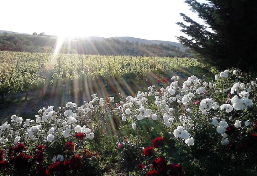 ホテル Agriturismo Fattoria Il Piano Casa Bugno San Gimignano