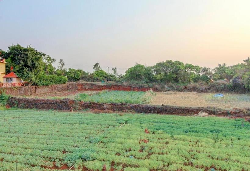 فندق Spot On 79399 Om Residency Classic