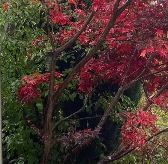 Majatalo Kirkwirral Guest House   Not Self Catering