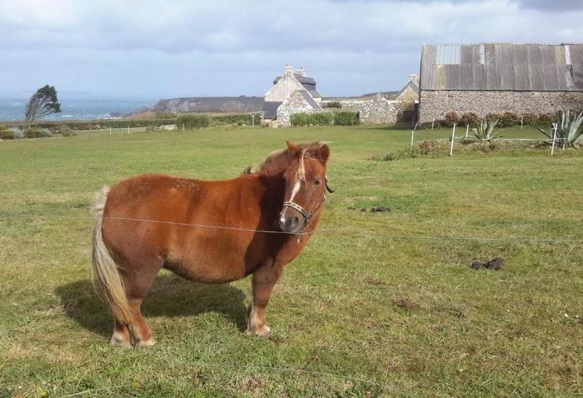 Пансион Le Chat Bleu