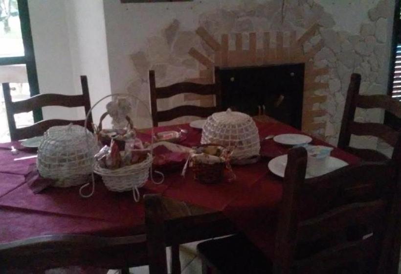 بنسيون The Beauty Of Nature