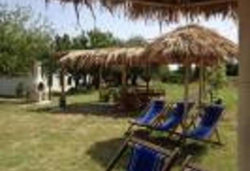 بنسيون The Beauty Of Nature