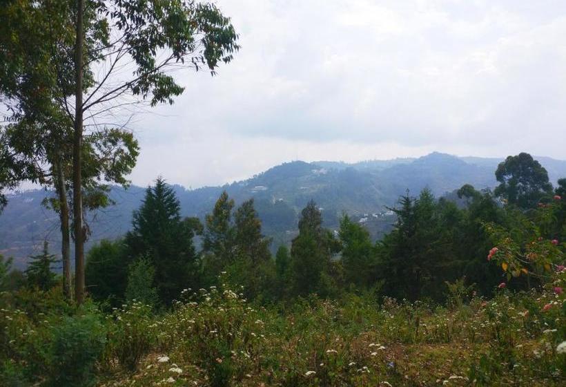 Resort Revostay Mist View By Crossway