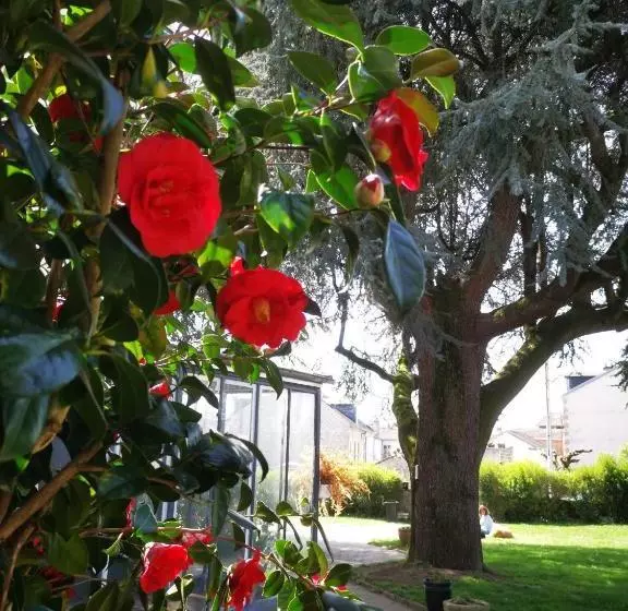 تختخواب و صبحانه Chambres D'hôtes La Maison Blanche