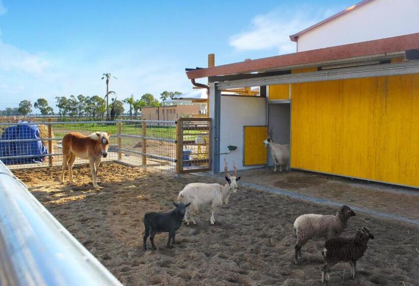 Отель Agriturismo Casa Ricotta