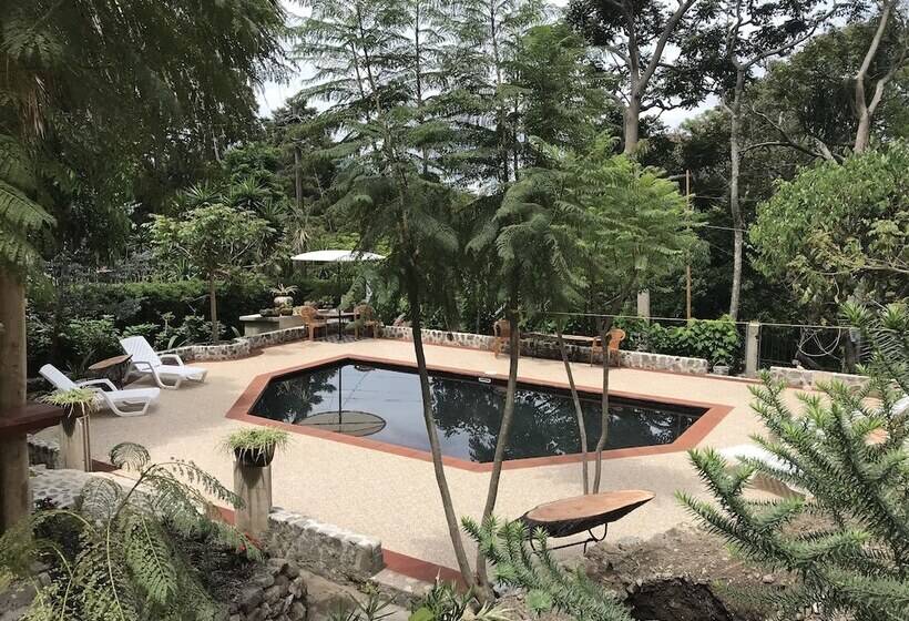 هتل Jenna S River Bed & Breakfast