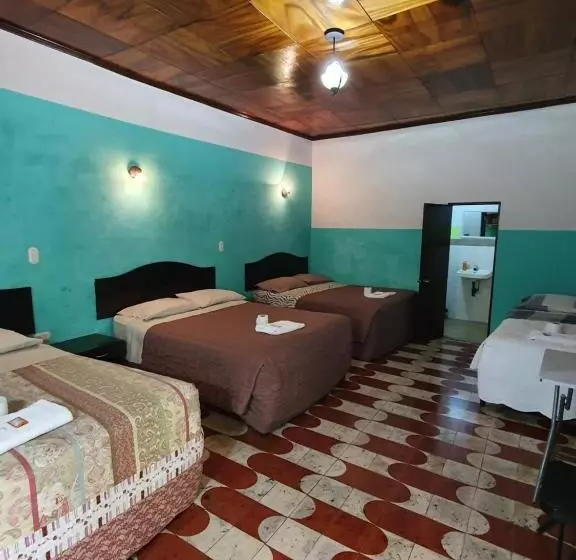 هتل Kasa Kamelot Central