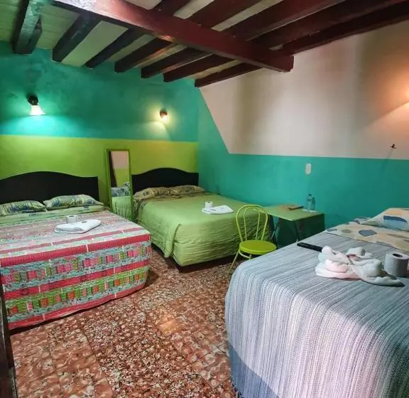 هتل Kasa Kamelot Central