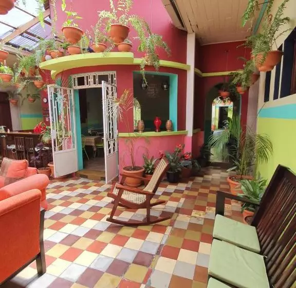 هتل Kasa Kamelot Central