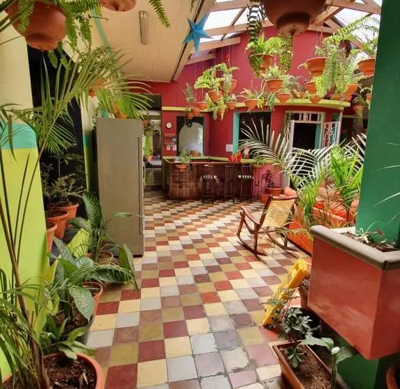 هتل Kasa Kamelot Central