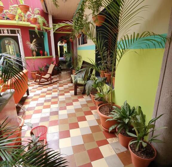 هتل Kasa Kamelot Central