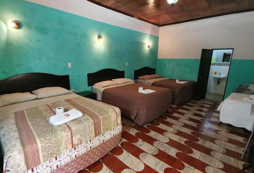 هتل Kasa Kamelot Central