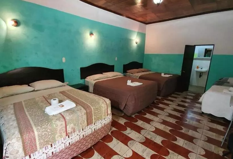 هتل Kasa Kamelot Central