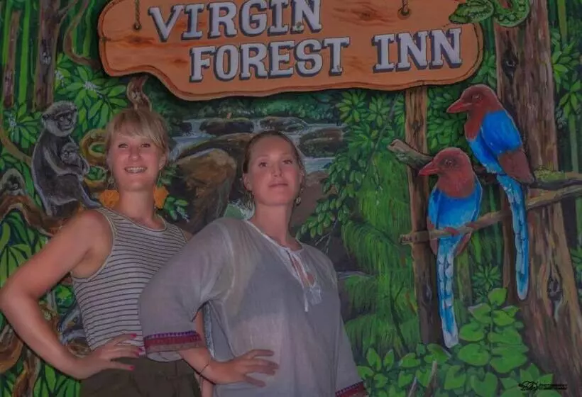 ペンション Virgin Forest Inn