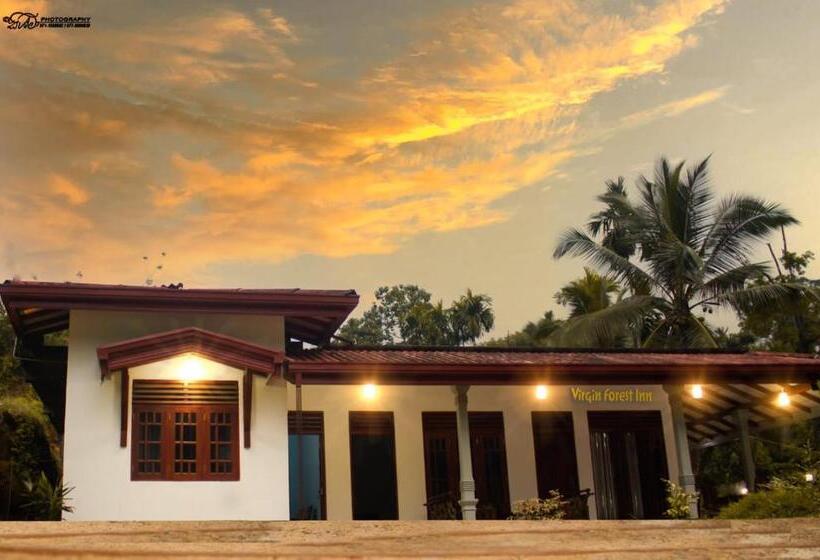 Pensão Virgin Forest Inn