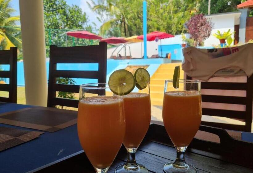 צימר Villa Talpe