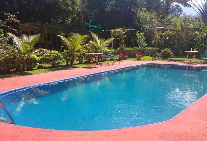 Hotel Y Residencial Amigos