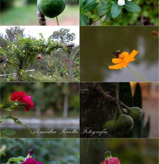 Hotel Y Residencial Amigos