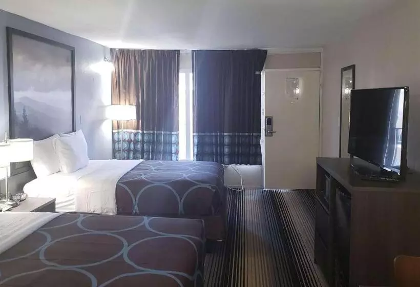 Hotelli Super 8 By Wyndham Morganton