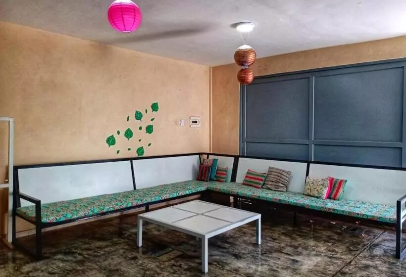 ホテル Willy Hostel