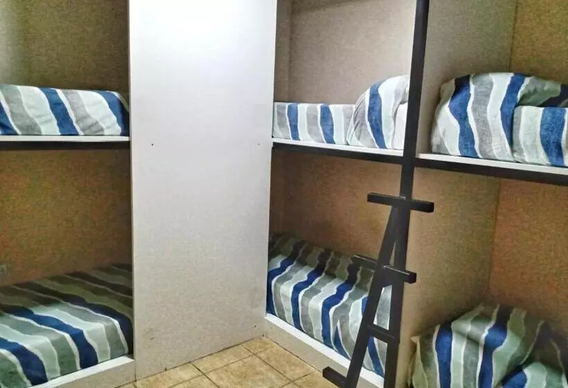 ホテル Willy Hostel
