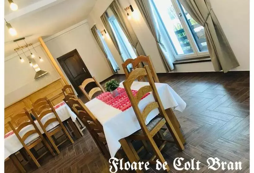 ペンション Floare De Colț Bran