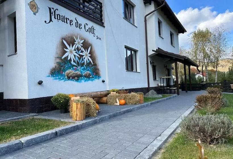 ペンション Floare De Colț Bran