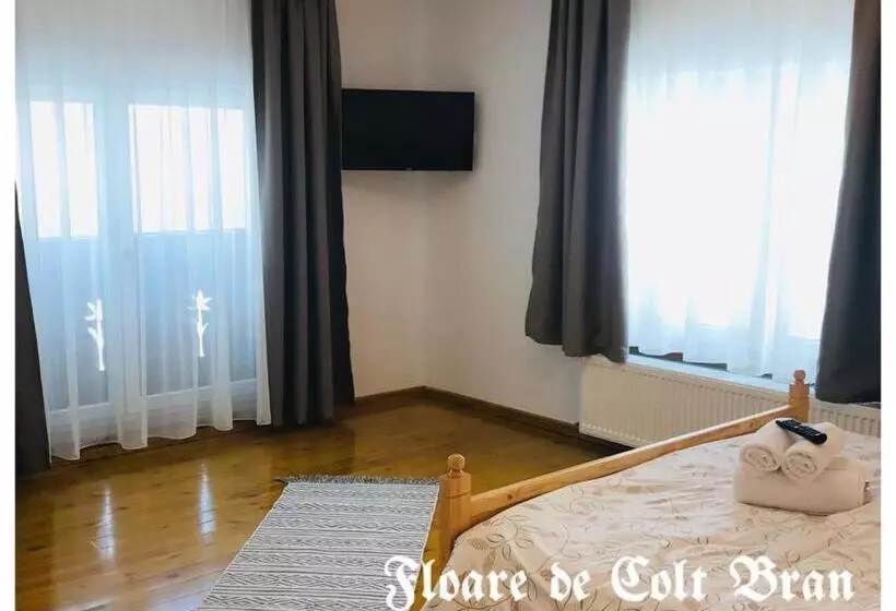 ペンション Floare De Colț Bran