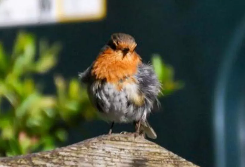 An Cuan Bed & Breakfast