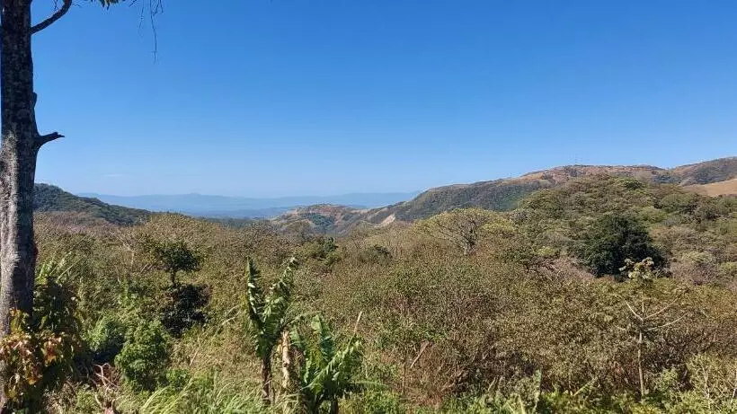 ベッドアンドブレックファースト Rancho Huacatay