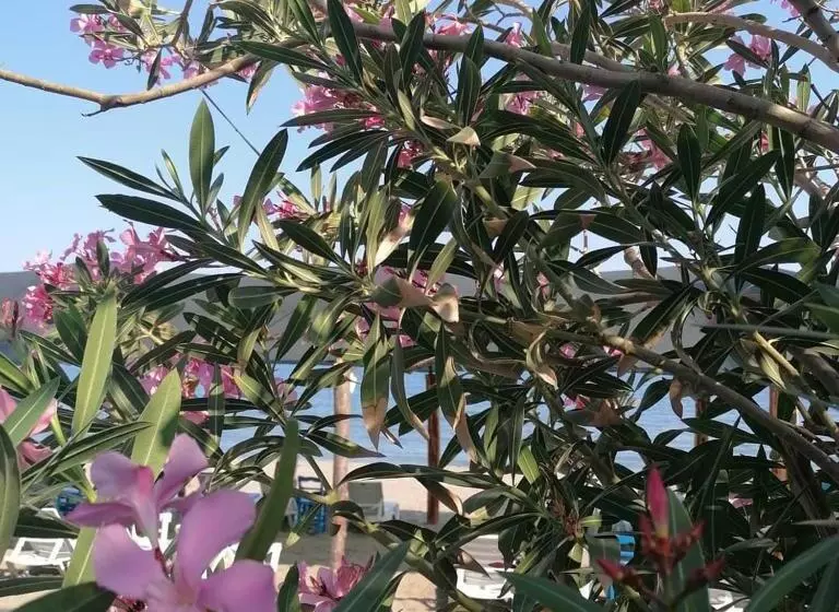 هتل Luna Piena