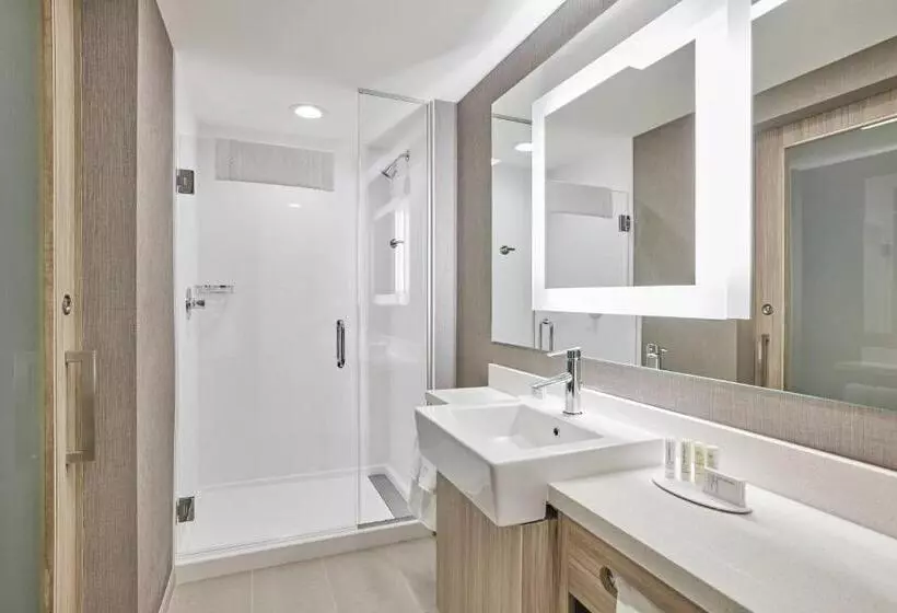 هتل Springhill Suites By Marriott Chicago Chinatown