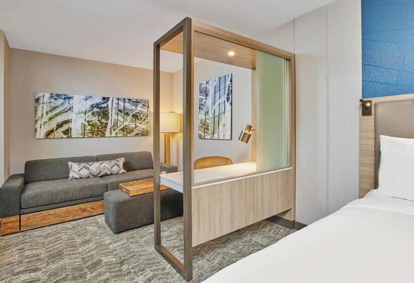 فندق Springhill Suites By Marriott Chicago Chinatown