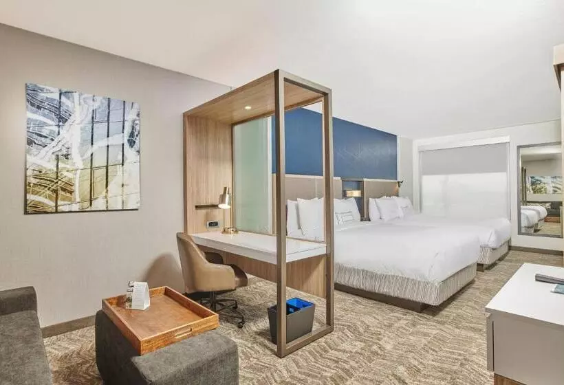 هتل Springhill Suites By Marriott Chicago Chinatown